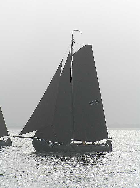 LE66